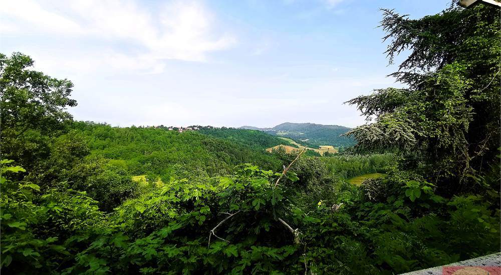 PANORAMA
