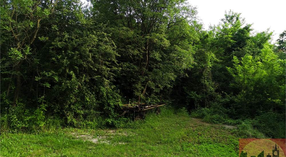 TERRENO SULLA COLLINA