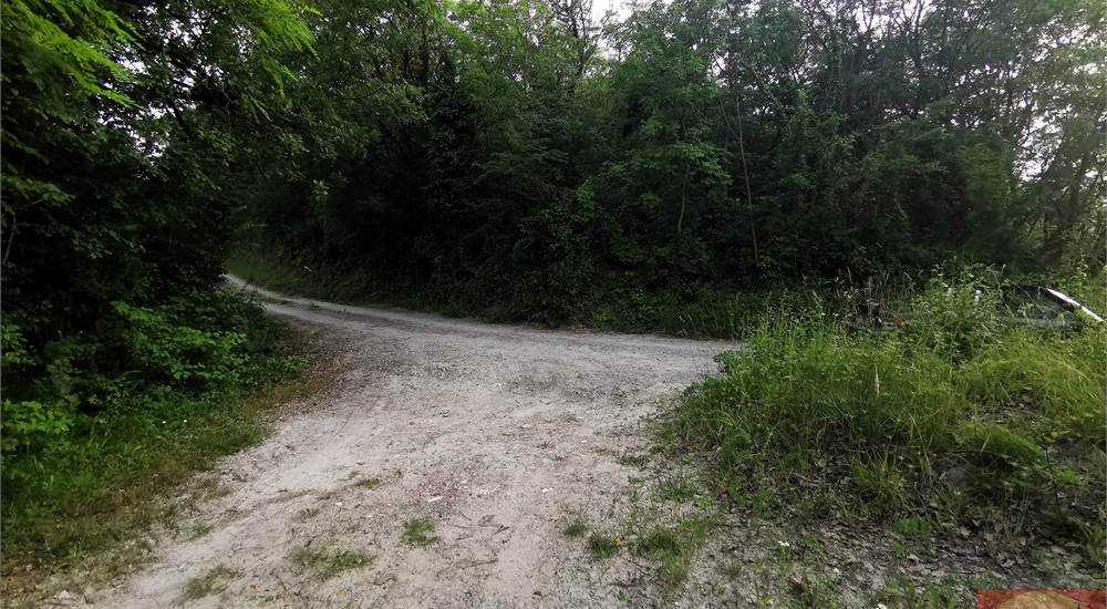 TERRENO SULLA COLLINA