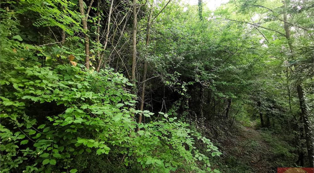 TERRENO SULLA COLLINA