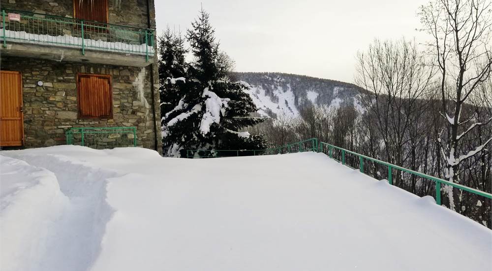 Photo 12
