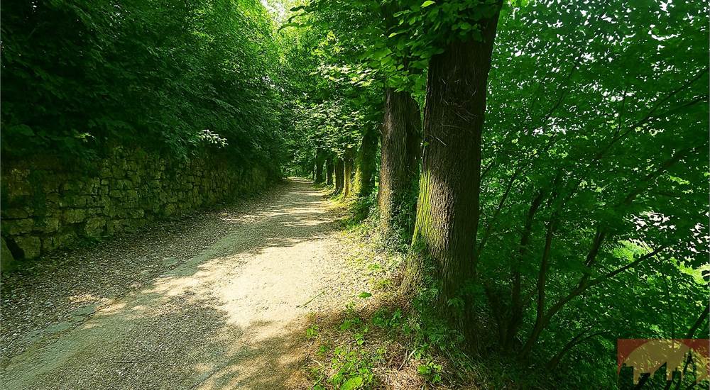 Strada privata di accesso