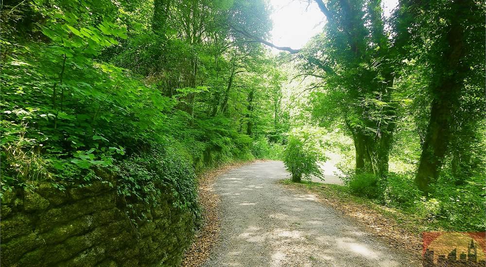 Strada privata di accesso