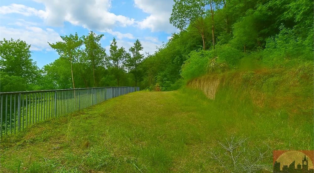 Villa d'epoca Terreno