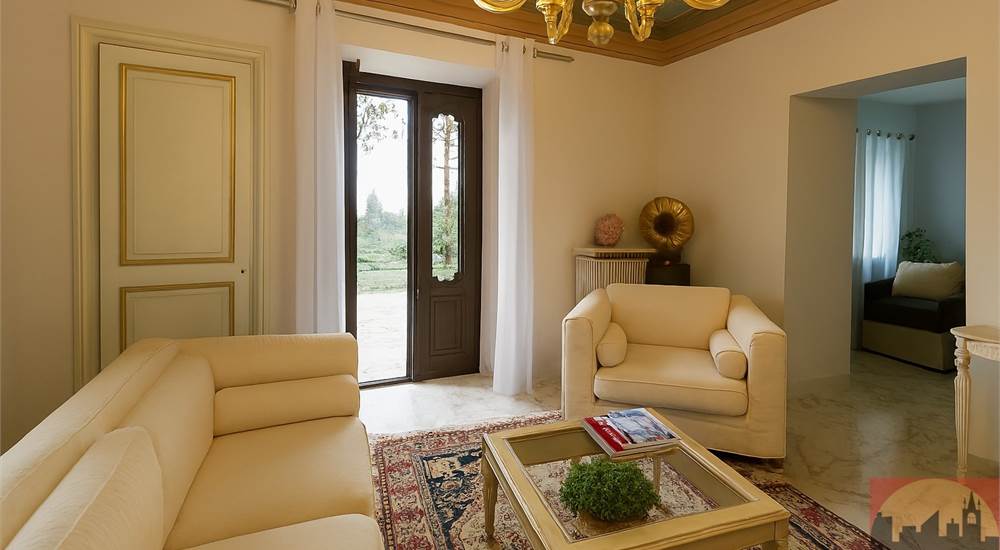 Villa d'epoca Salone