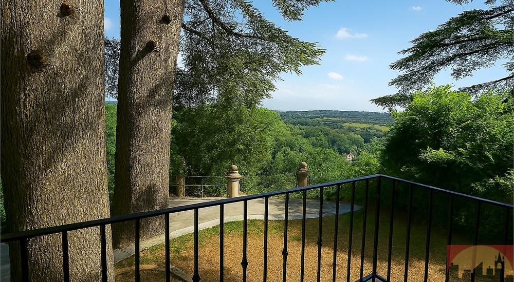 Villa d'epoca Salotto Vista