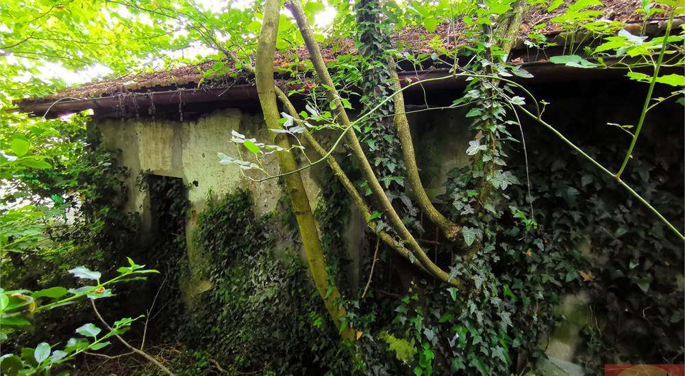 Casa A