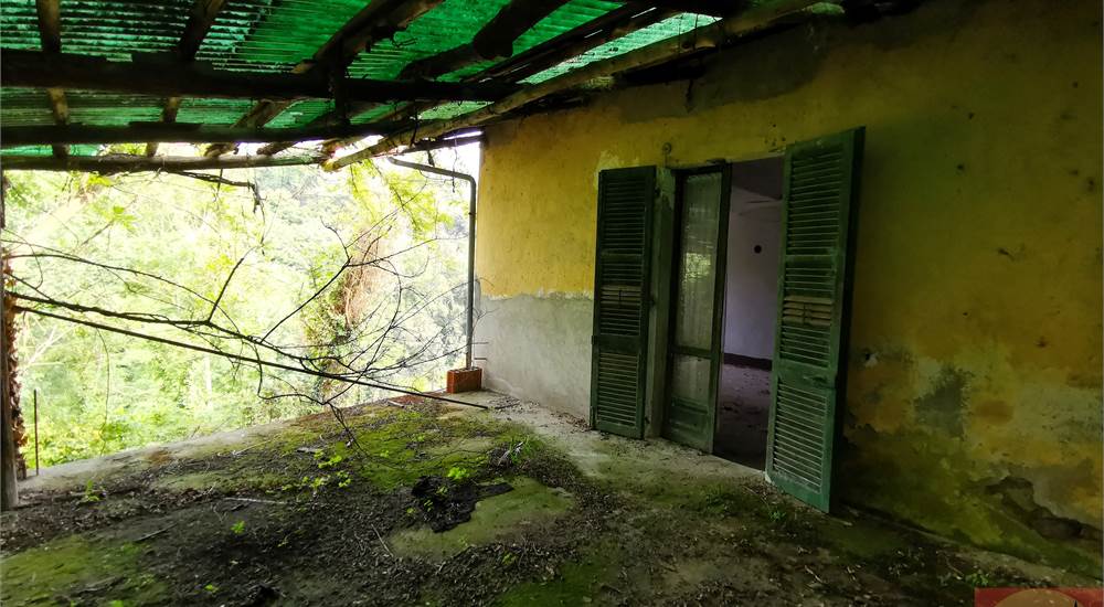 Casa C